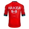 Wielershirt 2024 Arkea-B B Hotels - Rood